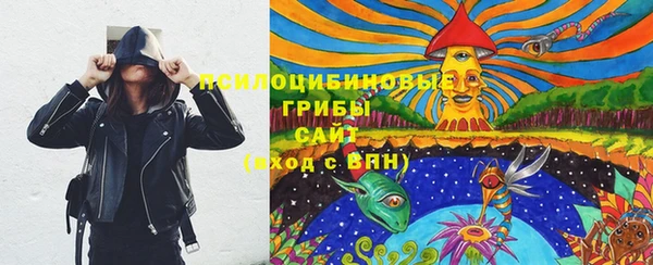 PSILOCYBIN Верхнеуральск